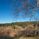 View of the lake and valley at the Mt Lofty Botanic Gardens